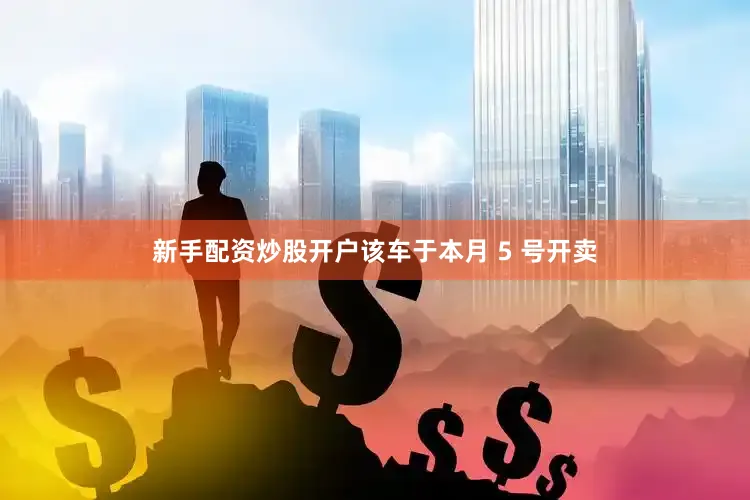 新手配资炒股开户该车于本月 5 号开卖