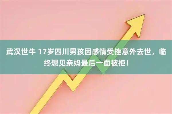 武汉世牛 17岁四川男孩因感情受挫意外去世，临终想见亲妈最后一面被拒！