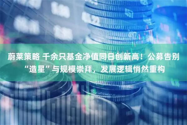 蔚莱策略 千余只基金净值同日创新高！公募告别“造星”与规模崇拜，发展逻辑悄然重构