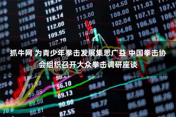 抓牛网 为青少年拳击发展集思广益 中国拳击协会组织召开大众拳击调研座谈
